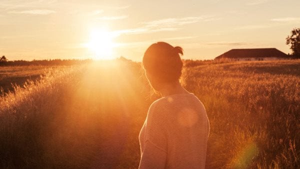 Kurser i persiska och farsi hos Folkuniversitetet