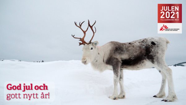 God jul och gott nytt år!