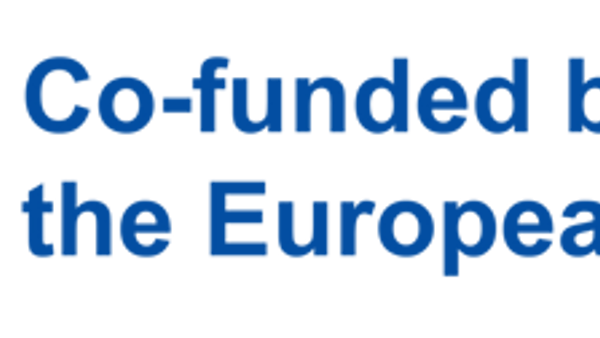 Europeiska unionens logotyp med den europeiska flaggan i bakgrunden.