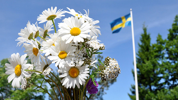 Alt text saknas