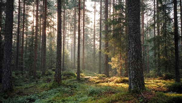 Deltagare i YH-utbildning på Folkuniversitetet