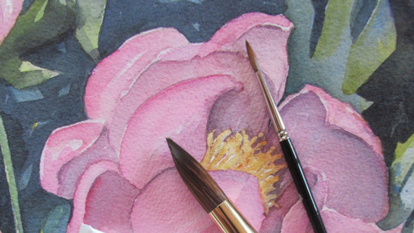 Akvarellmålning av pion. Gå en konstkurs på Folkuniversitetet.