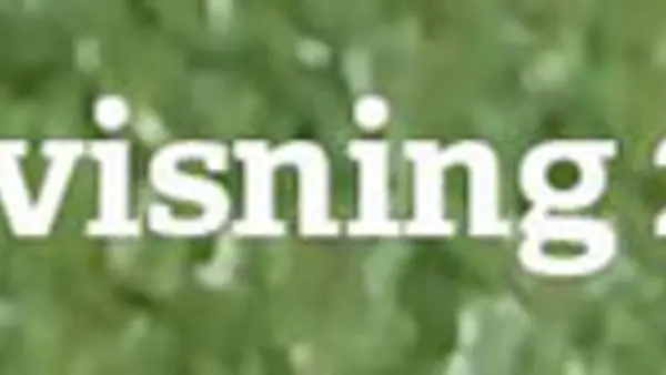 Bild f&ouml;r slutvisning Animation och experimentfilm 2024