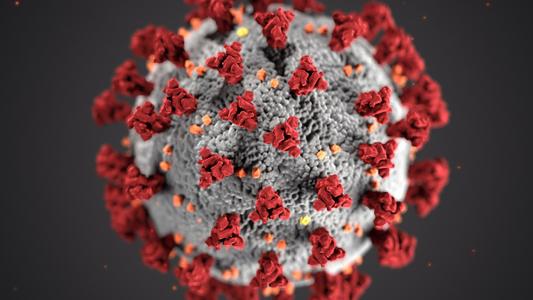 coronavirus - covid-19