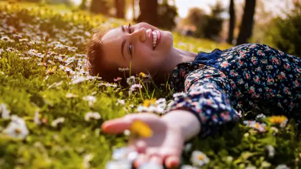 Blommande sommaräng