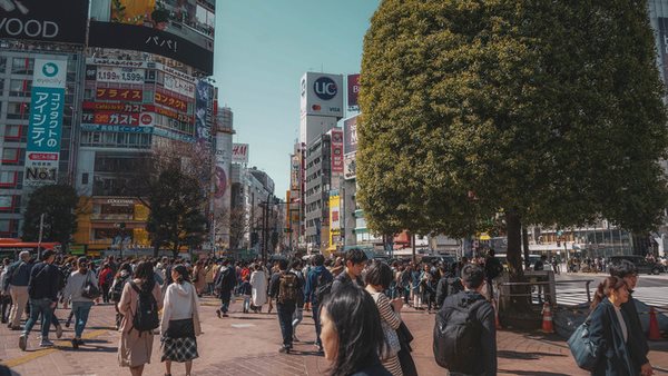hitta språkresor för vuxna till tokyo japan och läs japanska på plats