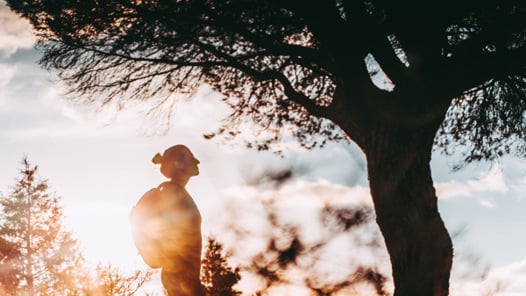 En kvinna står i motljus vid ett träd. 