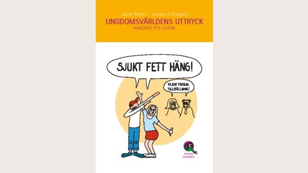 Ungdomsvärldens uttryck