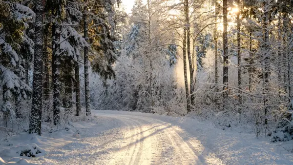 Natur i vinterskrud.