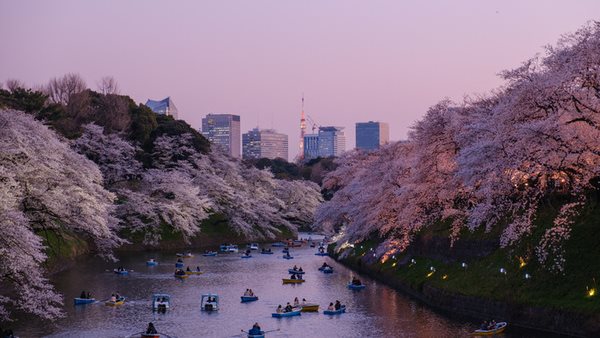 läs mer om boende och resa i Tokyo