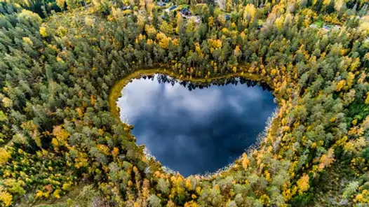 En hjärtformad sjö omgiven av träd