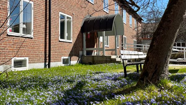 Huvudentrén och innergården på Folkuniversitetet i Umeå på Nygatan 43 i vinterskrud