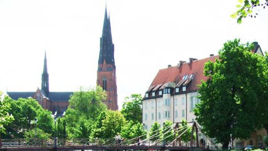 Summer Swedish intensive course Uppsala