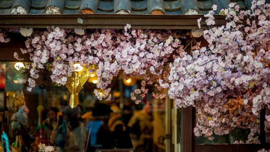 Språkkurs i Seoul, Koreanska 