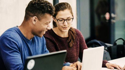 Two young lab partners working together on a project at university.