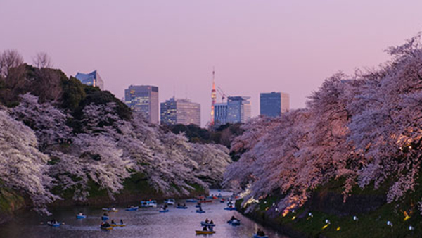 Vy över en flod där människor paddlar i Japan dit du kan åka på japanska språkresor för vuxna