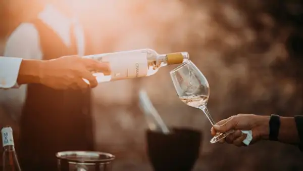 Vinprovning av ett rosévin. Prova vin på kursen franska och gastronomi i Aix-en-Provence.
