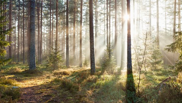 På fritids finns det utrymme för mycket fysisk aktivitet. Vi försöker hitta spännande aktivteter som ska vara lagom utmanande för eleverna.