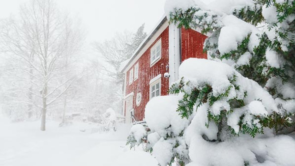 Ett rött hus bredvid en gran täckt med snö