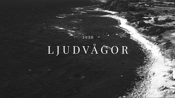 Ljudvågor 2020