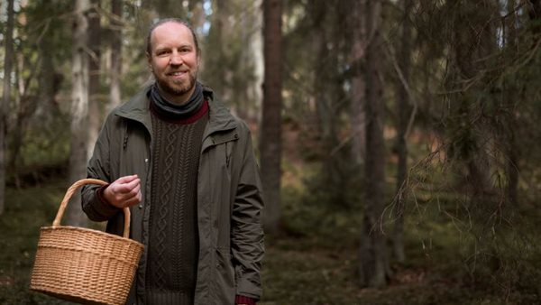 Höstlovskurser på Folkuniversitetet