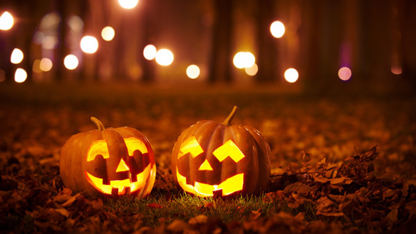 Kurser och utbildning i Gävle visar en träbro i sommarmiljö