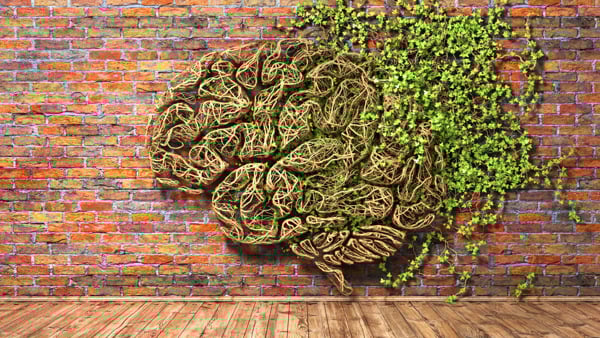 Väggprydnad av växter i form av en hjärna 