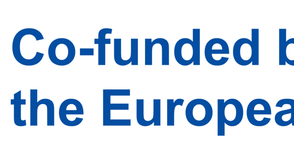 Europeiska unionens logotyp med den europeiska flaggan i bakgrunden.