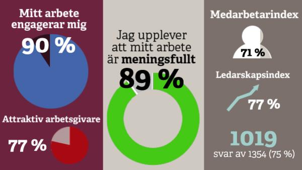 Folkuniversitetet arbetsgivare infogram