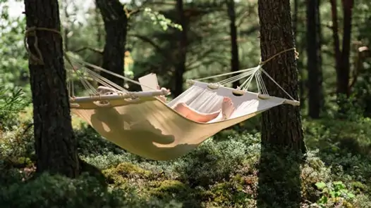En person som ligger och läser en bok i en hängmatta i skogen.