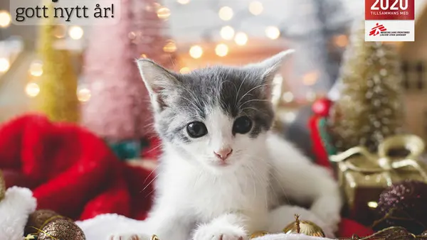 God jul-h&auml;lsning fr&aring;n Folkuniversitetets f&ouml;rlag 2020.