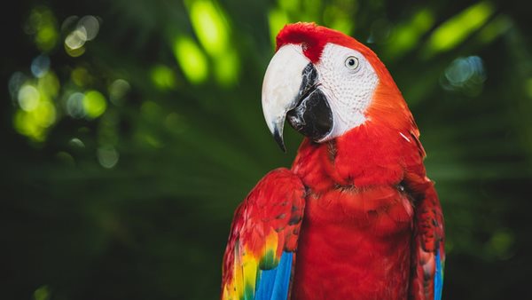 läs mer om boende och resa playa del carmen mexiko