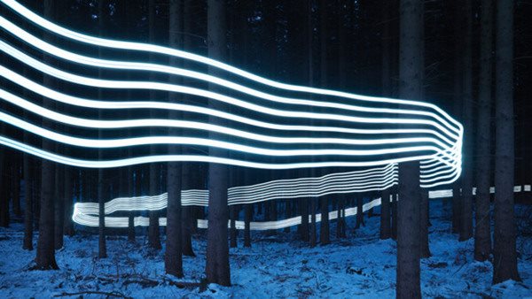 Ljusinstallation som vågformade linjer i skog - symbol för idéhistoria och lärdomens utveckling och rörelse