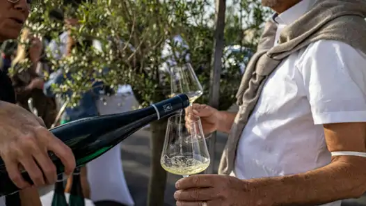 Gå en kurs i franska och gastronomi och upplev vinprovning