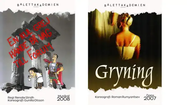 Affisch fr&aring;n f&ouml;rest&auml;llningar 2008