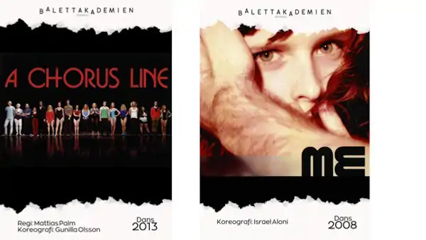 Affisch fr&aring;n f&ouml;rest&auml;llningar 2013