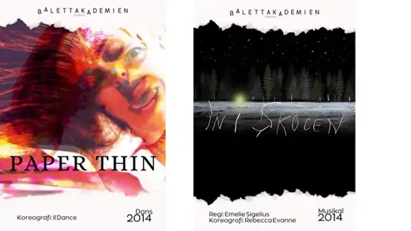 Affisch fr&aring;n f&ouml;rest&auml;llningar 2014
