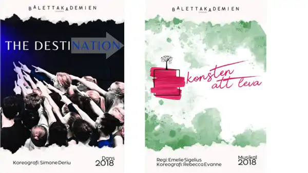 Affisch fr&aring;n f&ouml;rest&auml;llningar 2018