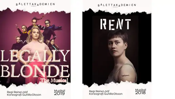 Affisch fr&aring;n f&ouml;rest&auml;llningar 2019