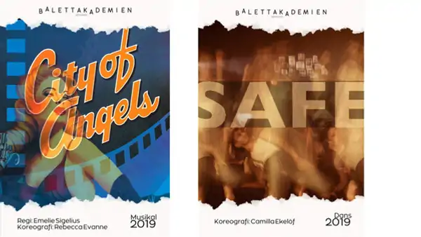 Affisch fr&aring;n f&ouml;rest&auml;llningar 2019