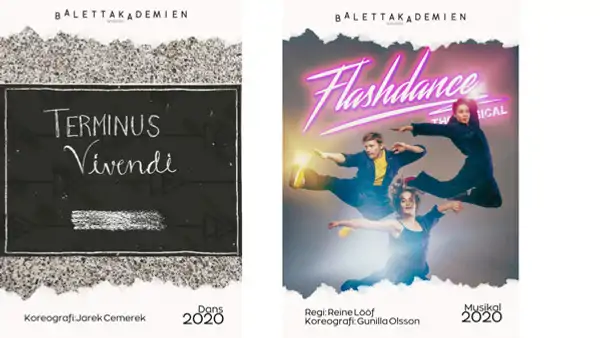 Affisch fr&aring;n f&ouml;rest&auml;llningar 2020
