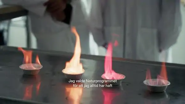 Naturvetenskapliga programmet på JHG