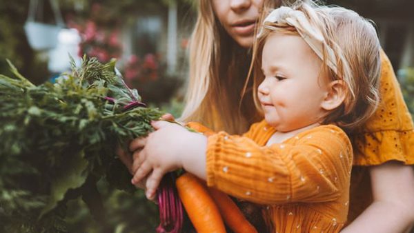 Barn och mamma i orangea kläder skördar morötter