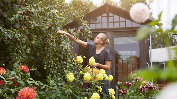 En person arbetar i blomstrande trädgård vid ett växthus - efter inspiration från kurs i trädgårdsskötsel